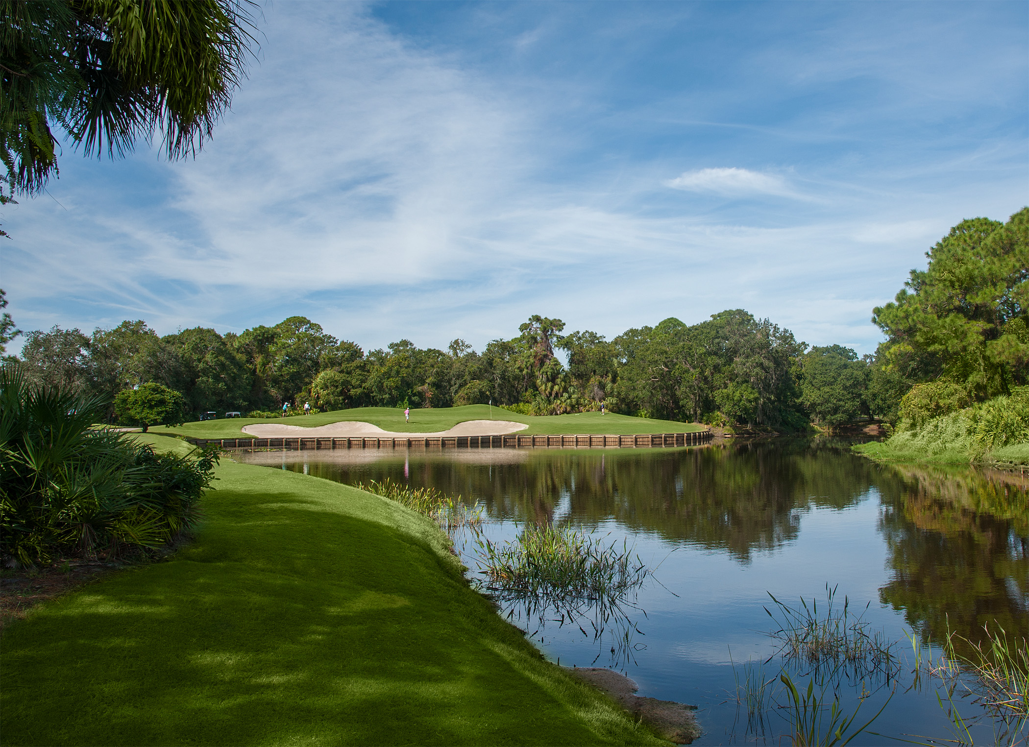 Par 3 5th Hole