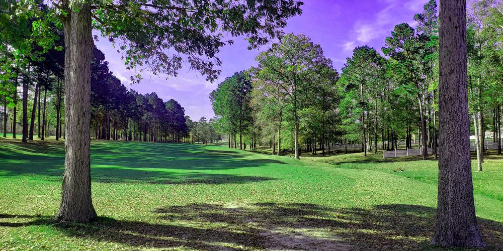 Calvert Crossing Golf Club By David Theoret