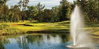 golf article