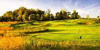 golf article