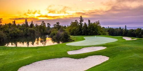 golf article