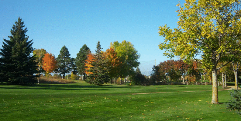 Hollydale Golf Club