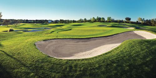 Innisbrook Resort - South Course Golf Package