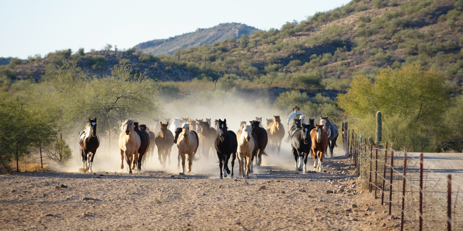 Los Caballeros Golf Club