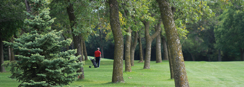 Currie Park Golf Course